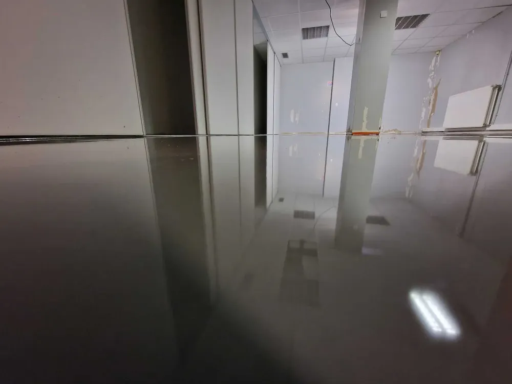 Resine decorative Albi (12)