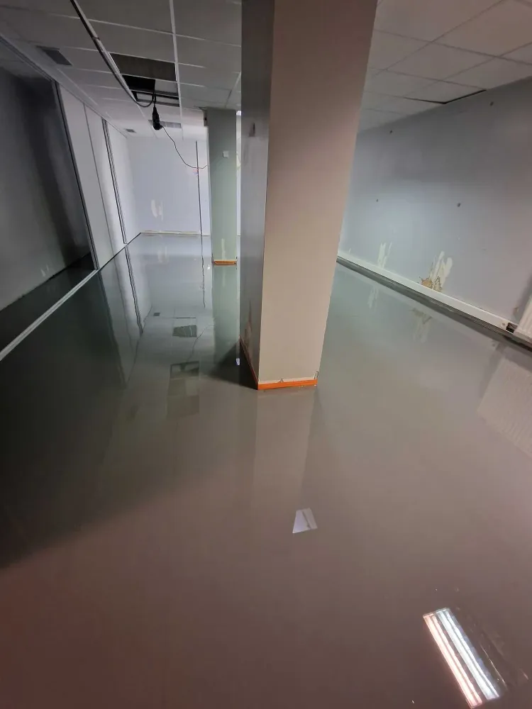 Resine decorative Albi (21)